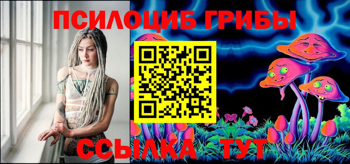 Галлюциногенные грибы Magic Shrooms Торжок