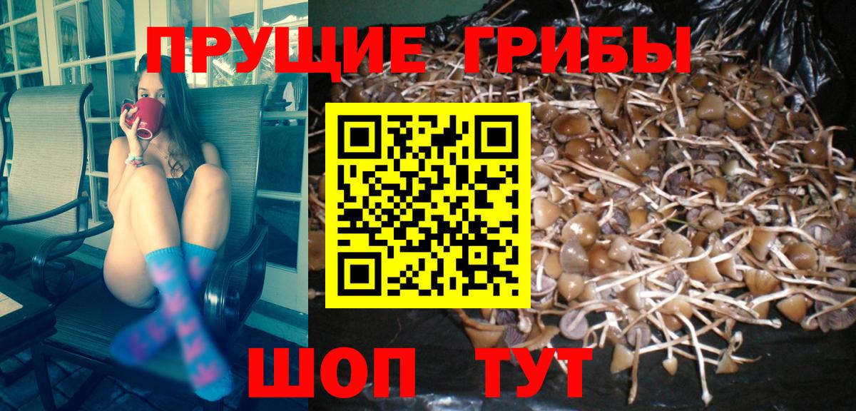 Псилоцибиновые грибы ЛСД  Вход с VPN  купить   Торжок 